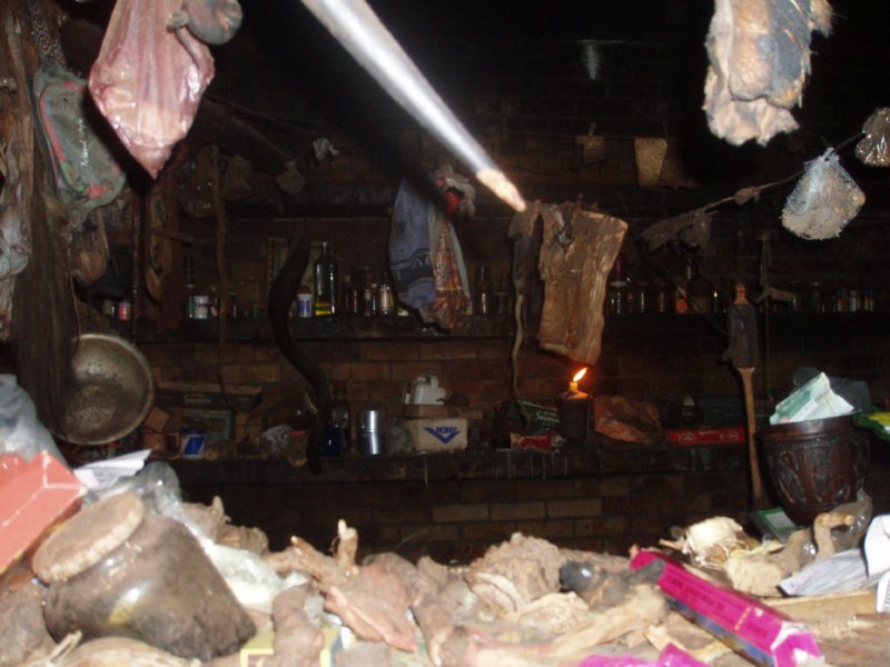 KeHa_in_South_Africa - 116